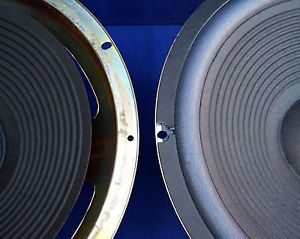 10" Woofer Surround RE-Foam