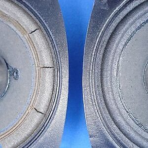 8" Woofer Surround RE-Foam